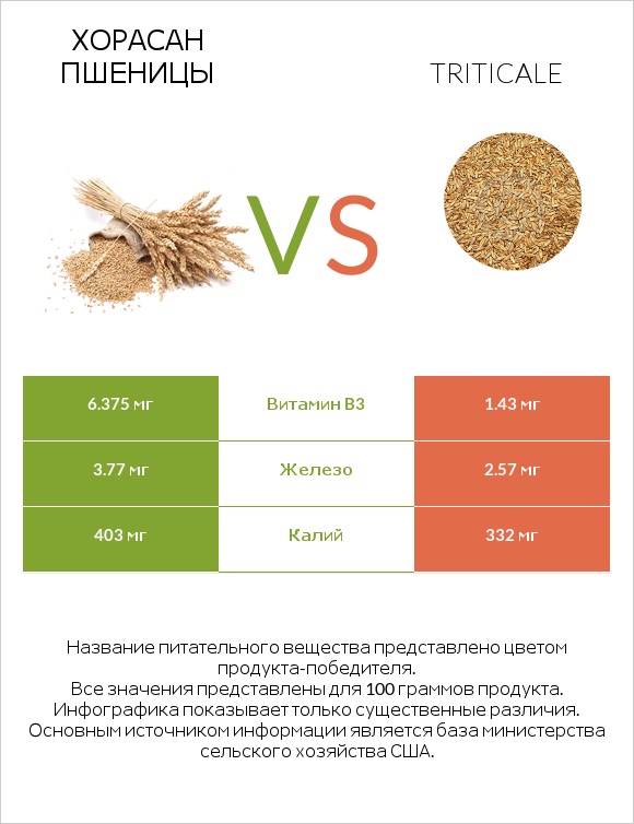 Хорасан пшеницы vs Triticale infographic