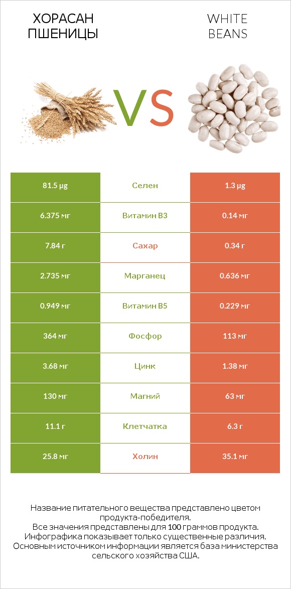 Хорасан пшеницы vs White beans infographic