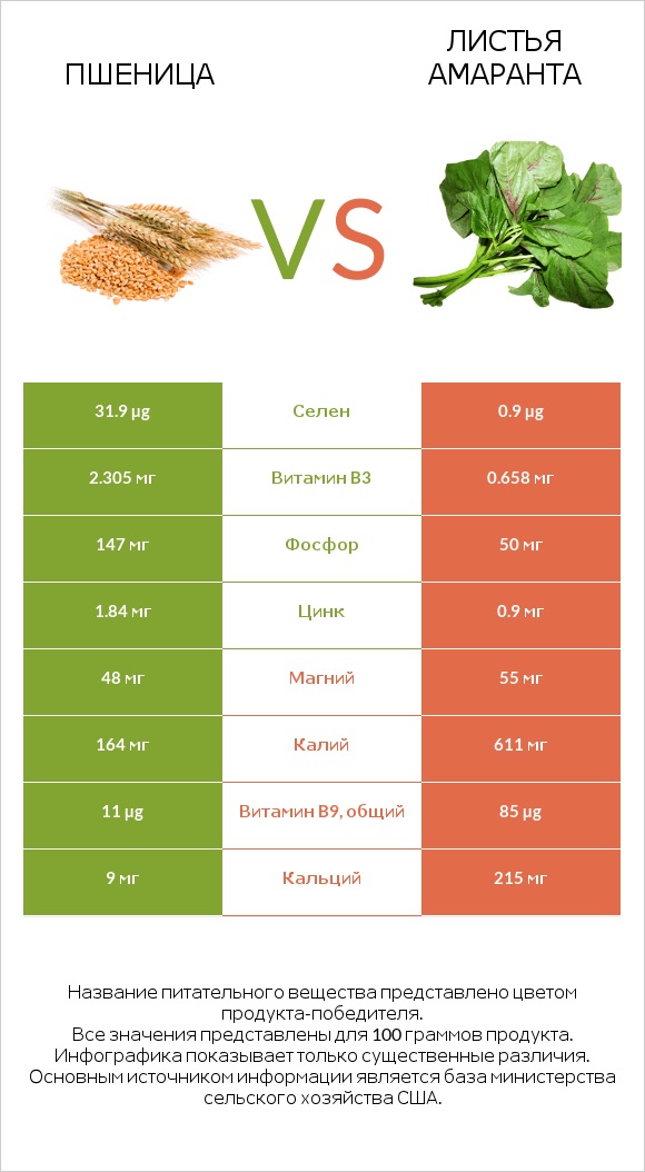 Пшеница vs Листья амаранта infographic