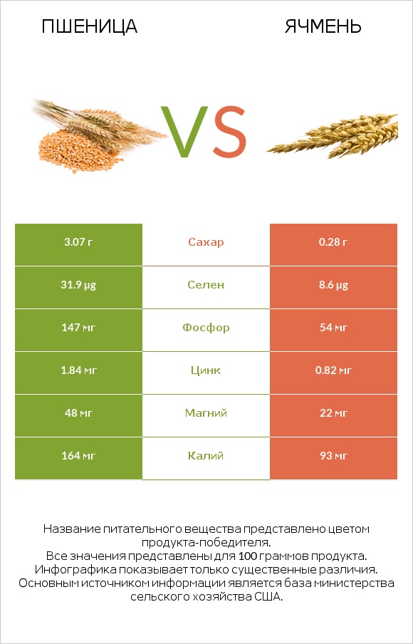 Пшеница vs Ячмень infographic