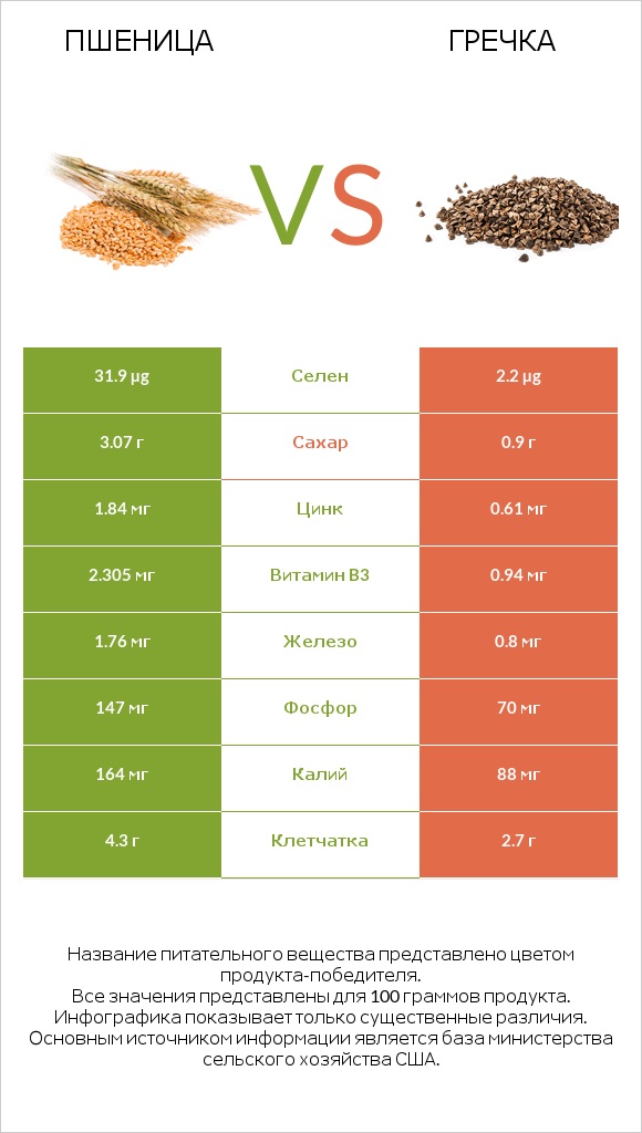 Пшеница vs Гречка infographic