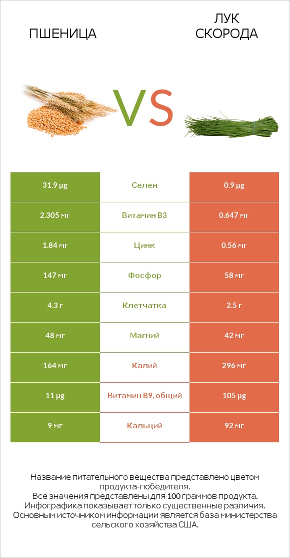 Пшеница vs Лук скорода infographic