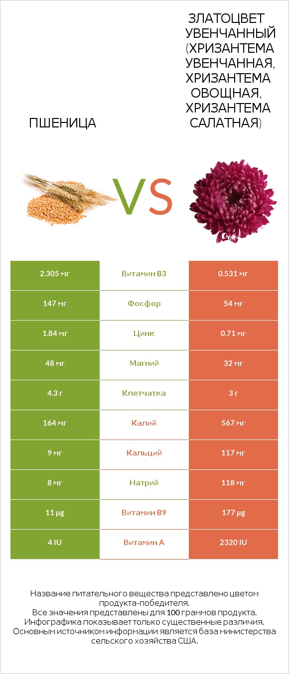 Пшеница vs Златоцвет увенчанный (хризантема увенчанная, хризантема овощная, хризантема салатная) infographic