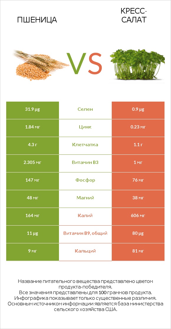 Пшеница vs Кресс-салат infographic