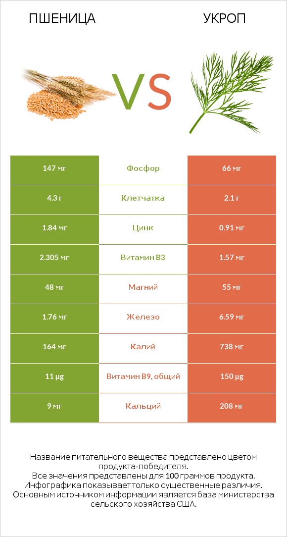 Пшеница vs Укроп infographic