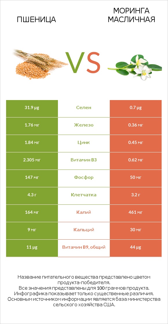 Пшеница vs Моринга масличная infographic