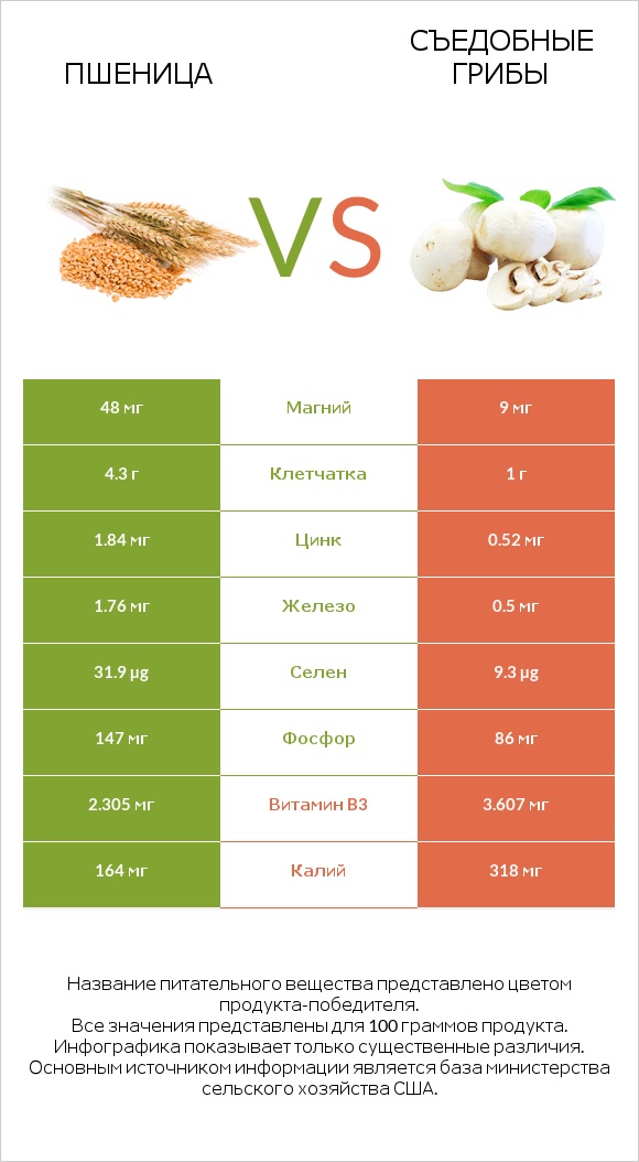 Пшеница vs Съедобные грибы infographic