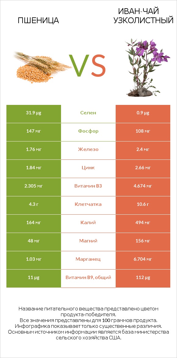 Пшеница vs Иван-чай узколистный infographic