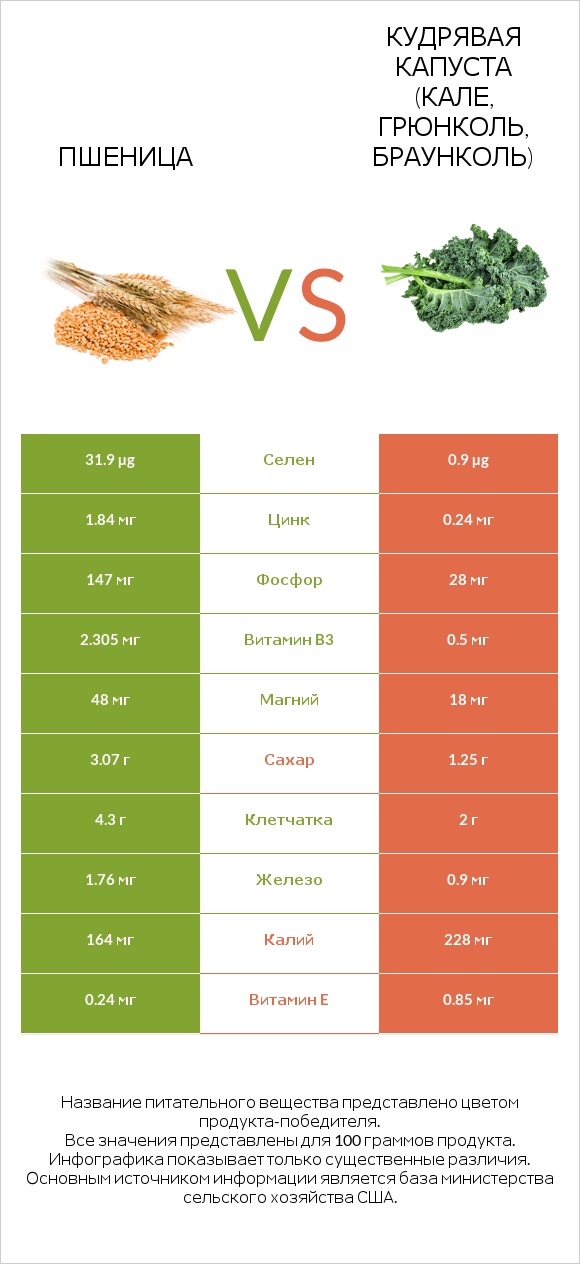 Пшеница vs Кудрявая капуста (кале, грюнколь, браунколь) infographic