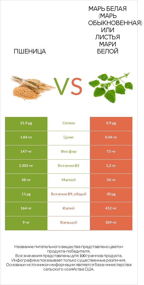 Пшеница vs Марь белая (Марь обыкновенная) или Листья мари белой infographic