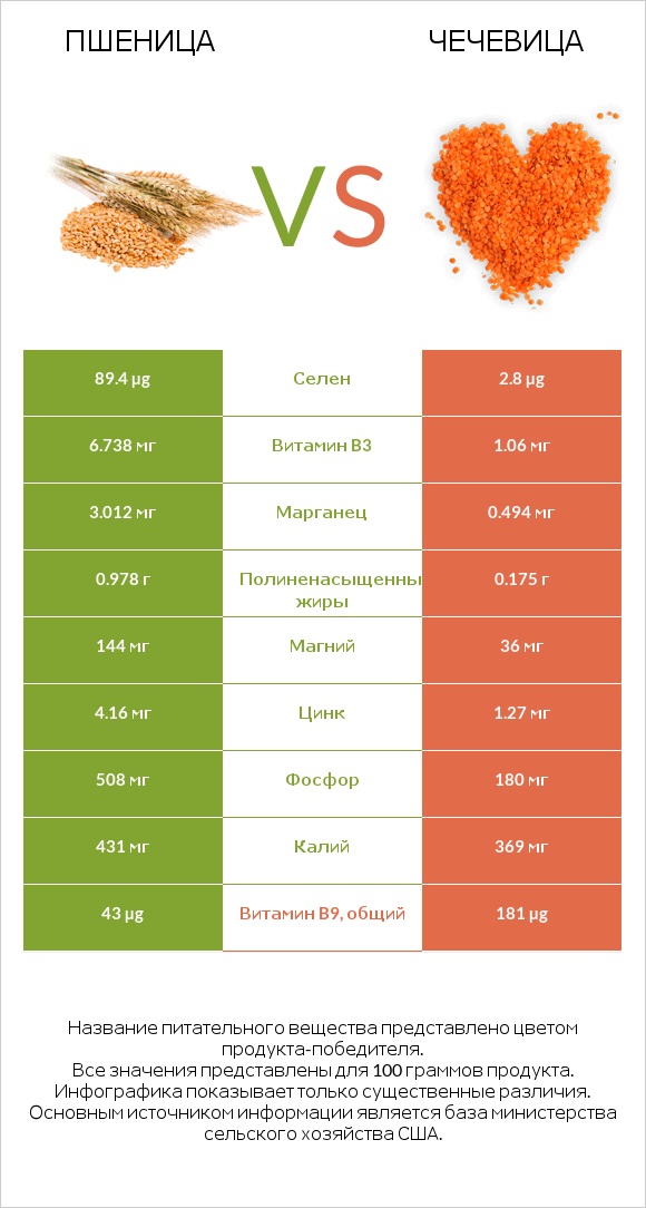 Пшеница vs Чечевица infographic
