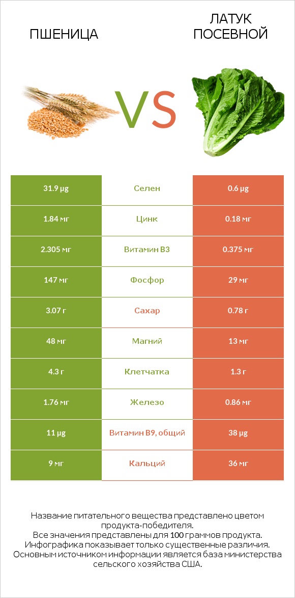 Пшеница vs Латук посевной infographic