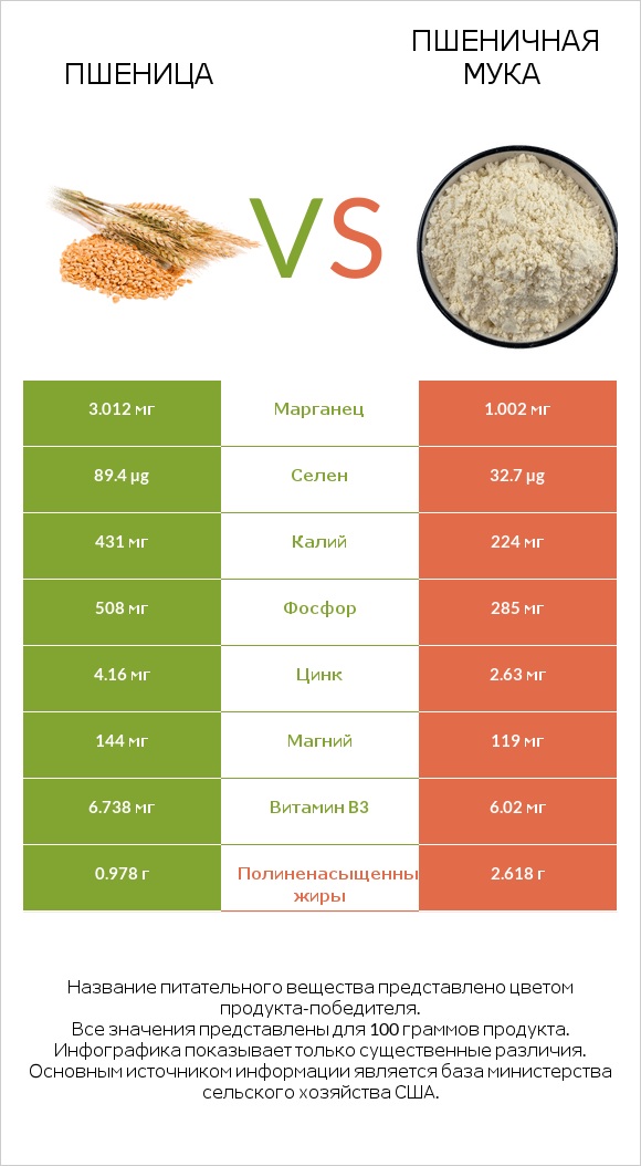 Пшеница vs Пшеничная мука infographic