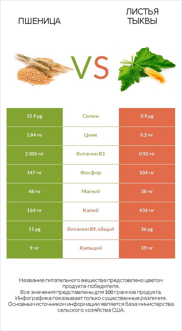 Пшеница vs Листья тыквы infographic