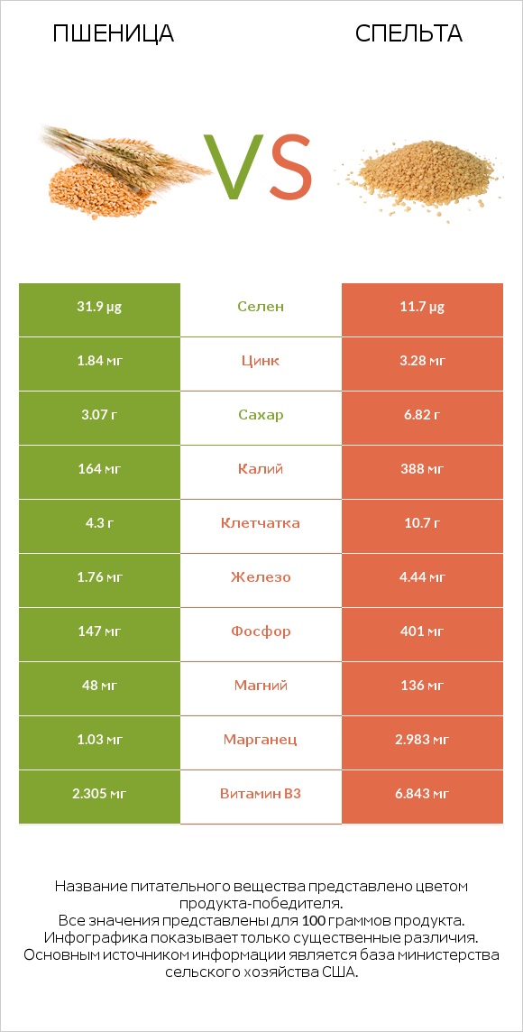 Пшеница vs Спельта infographic