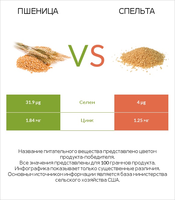 Пшеница vs Спельта infographic