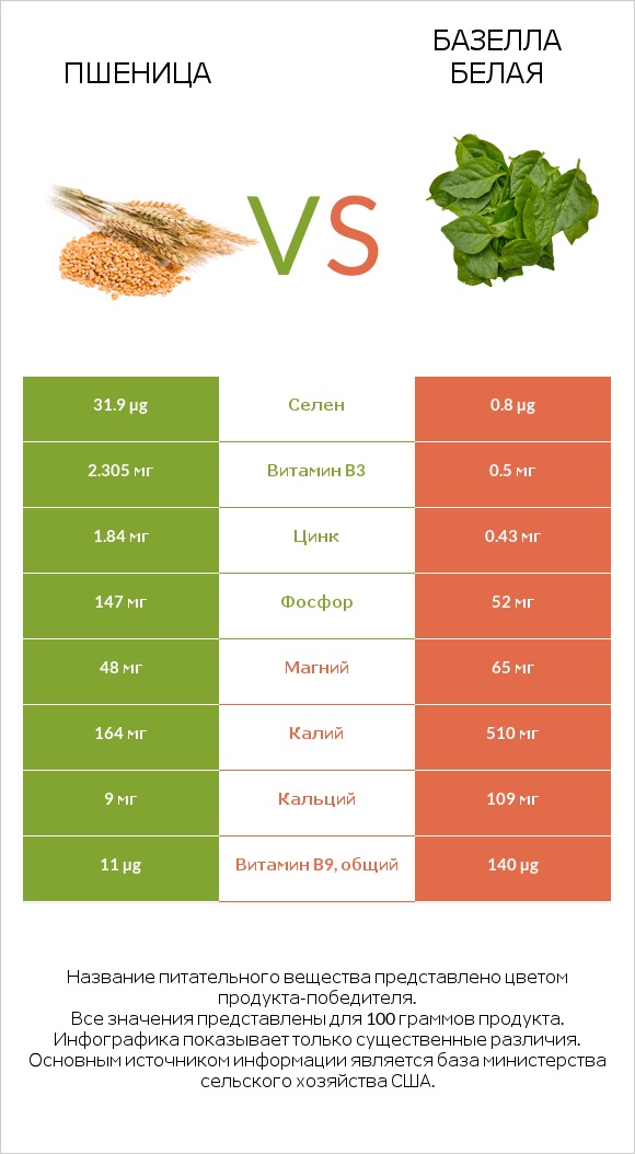 Пшеница vs Базелла белая infographic