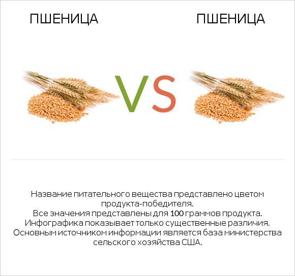 Пшеница vs Пшеница infographic