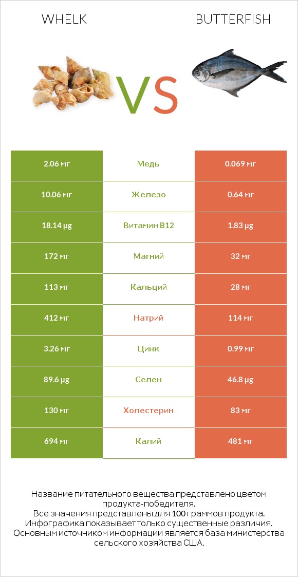 Whelk vs Butterfish infographic