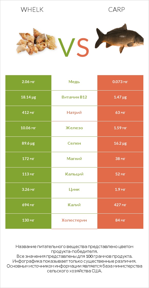 Whelk vs Carp infographic