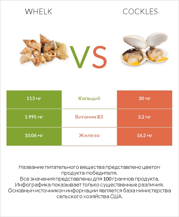 Whelk vs Cockles infographic