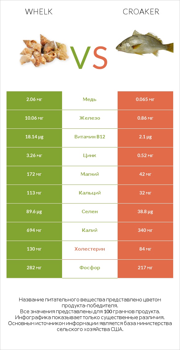 Whelk vs Croaker infographic