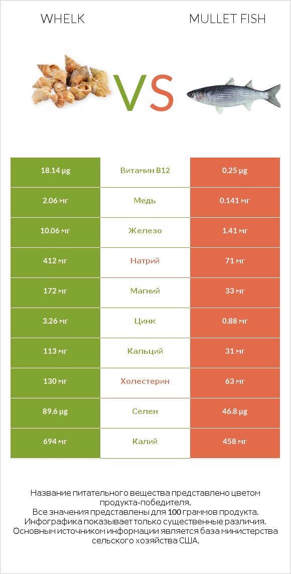 Whelk vs Mullet fish infographic