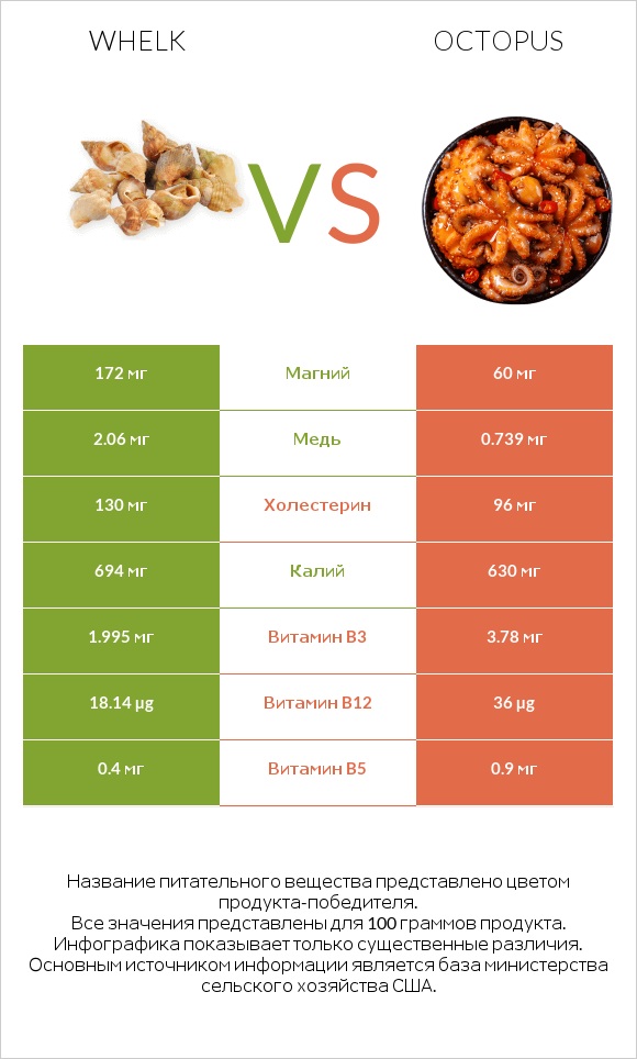 Whelk vs Octopus infographic