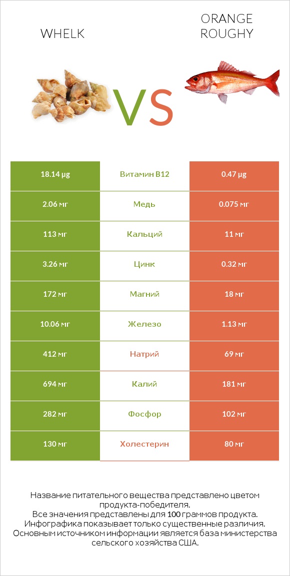 Whelk vs Orange roughy infographic