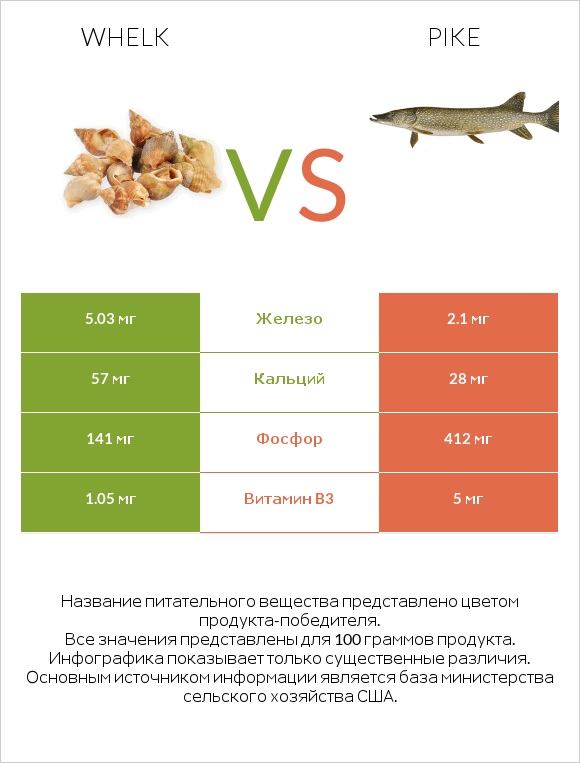 Whelk vs Pike infographic