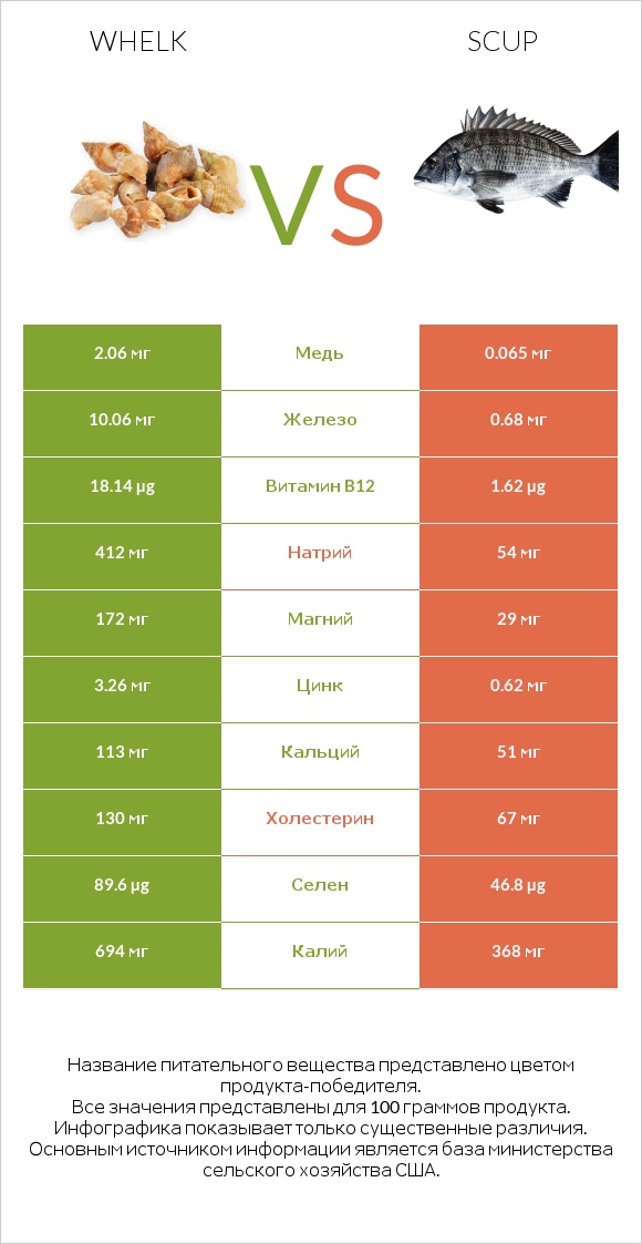 Whelk vs Scup infographic