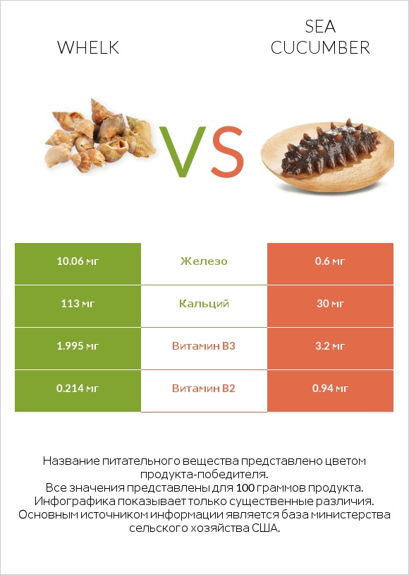 Whelk vs Sea cucumber infographic