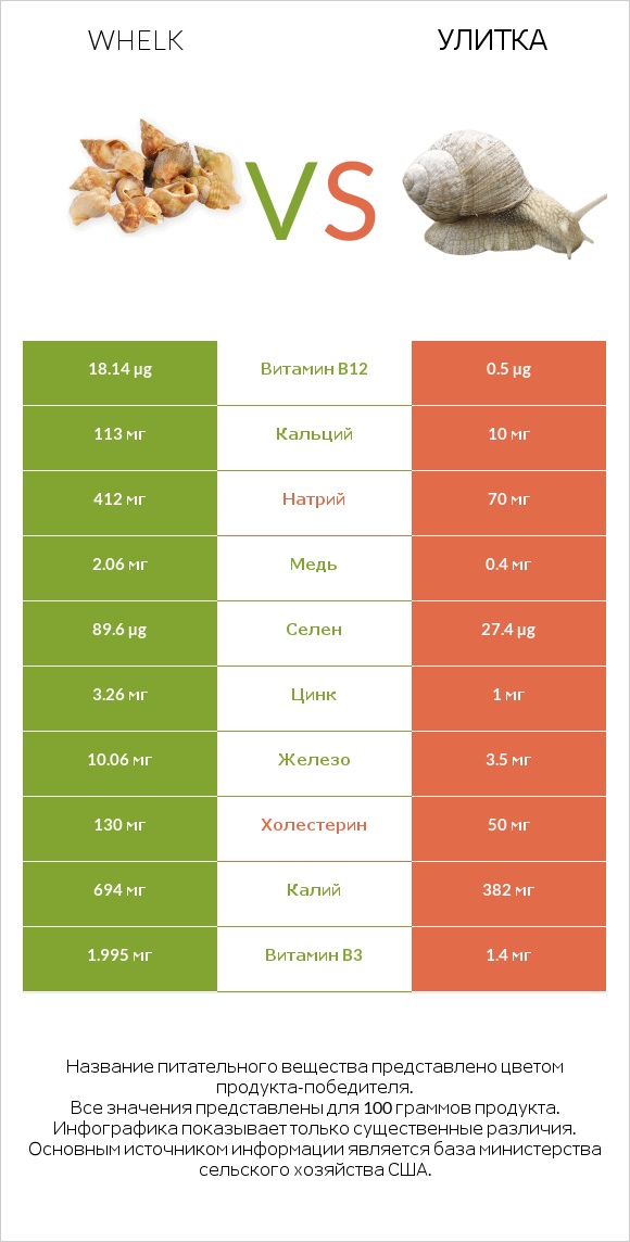 Whelk vs Улитка infographic