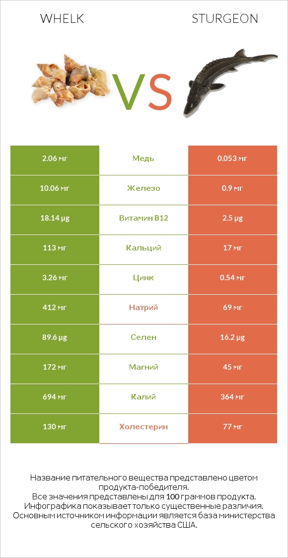 Whelk vs Sturgeon infographic