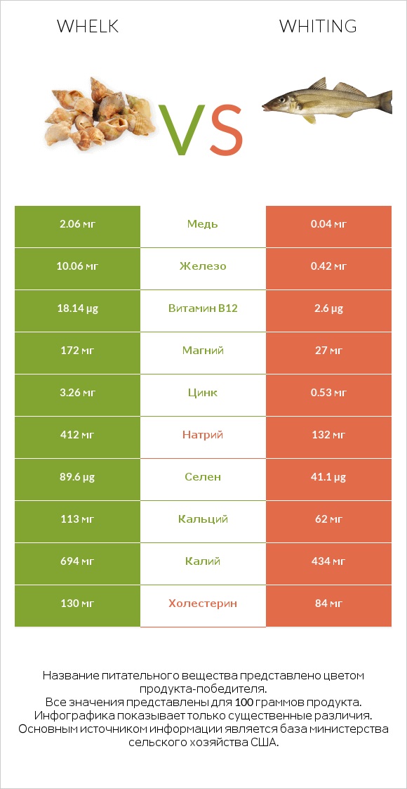 Whelk vs Whiting infographic