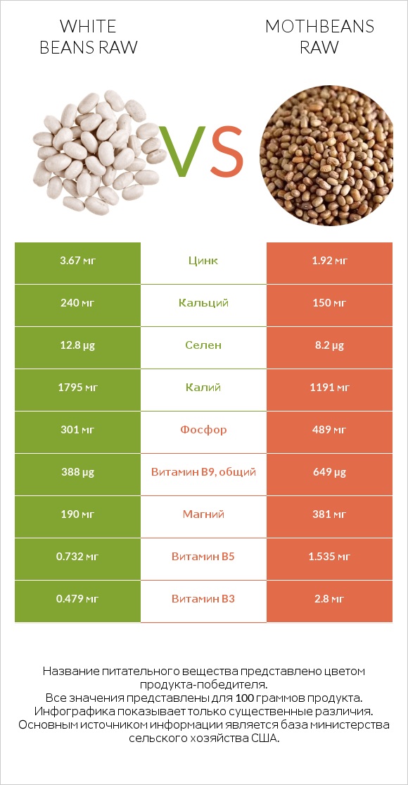 White beans raw vs Mothbeans raw infographic