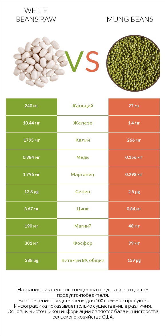 White beans raw vs Mung beans infographic