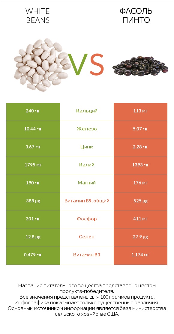 White beans vs Фасоль пинто infographic