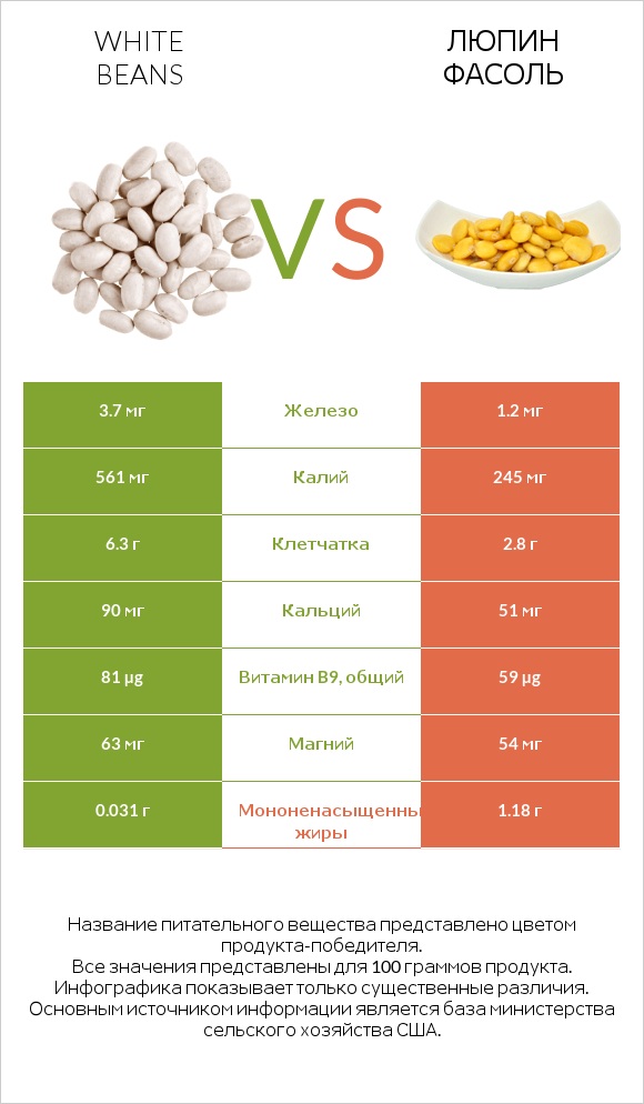 White beans vs Люпин Фасоль infographic