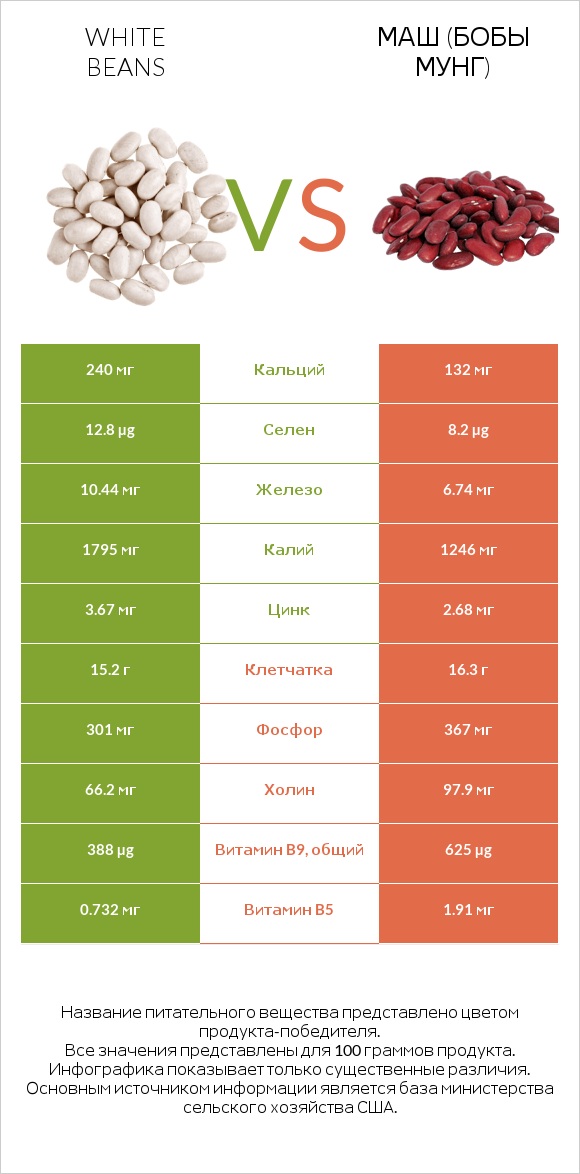 White beans vs Маш (бобы мунг) infographic