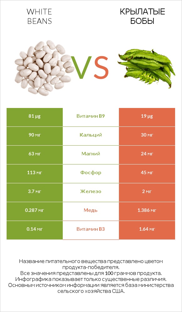 White beans vs Крылатые бобы infographic