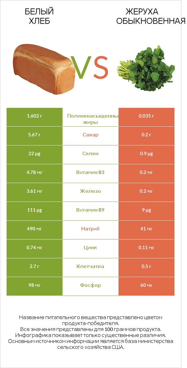 Белый Хлеб vs Жеруха обыкновенная infographic