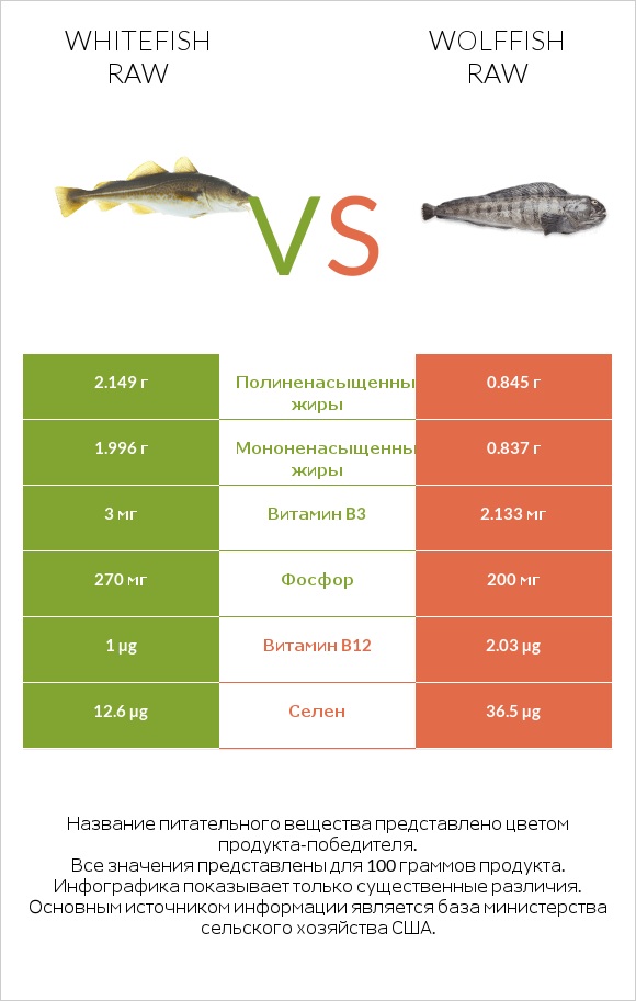 Whitefish raw vs Wolffish raw infographic