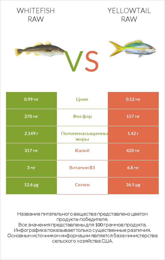 Whitefish raw vs Yellowtail raw infographic
