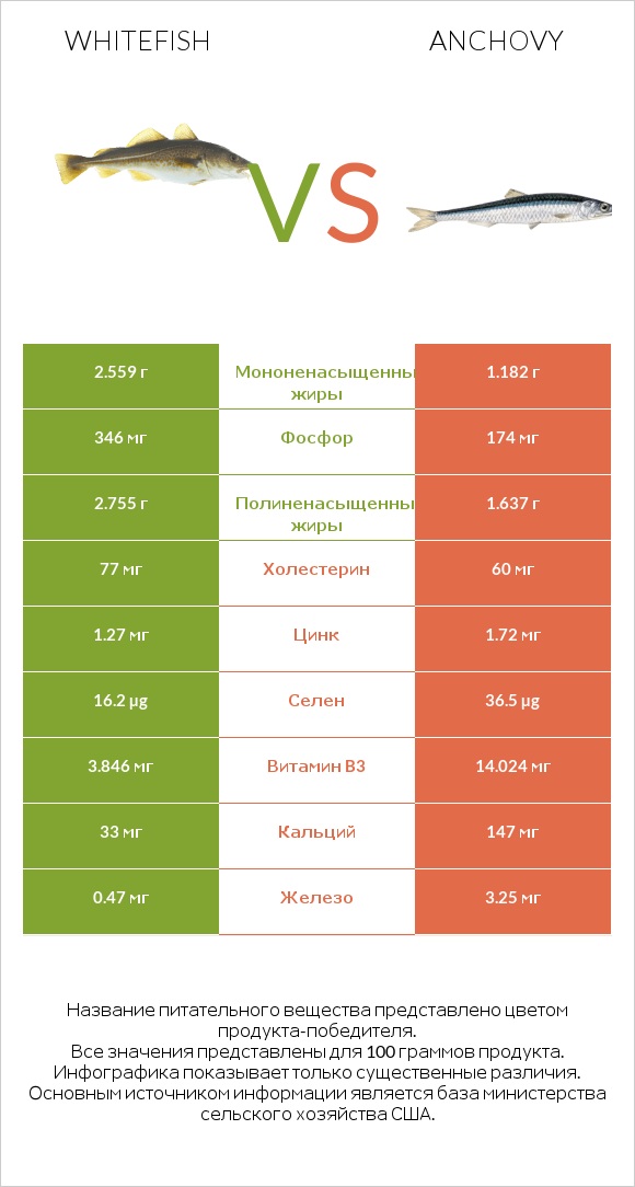 Whitefish vs Anchovy infographic