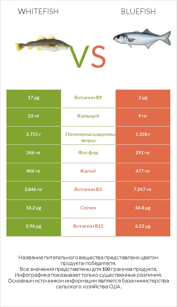 Whitefish vs Bluefish infographic