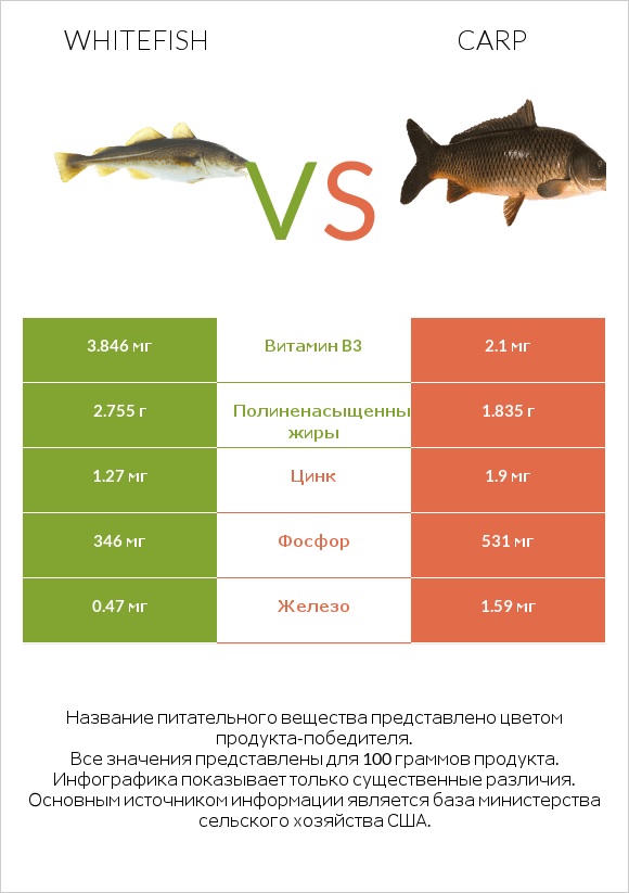 Whitefish vs Carp infographic