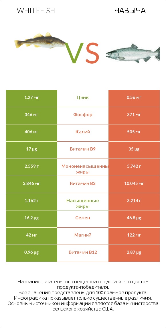 Whitefish vs Чавыча infographic