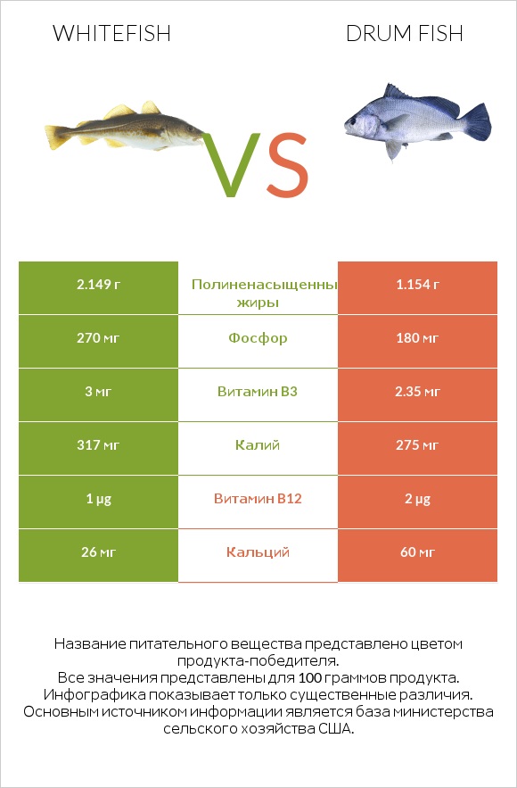 Whitefish vs Drum fish infographic