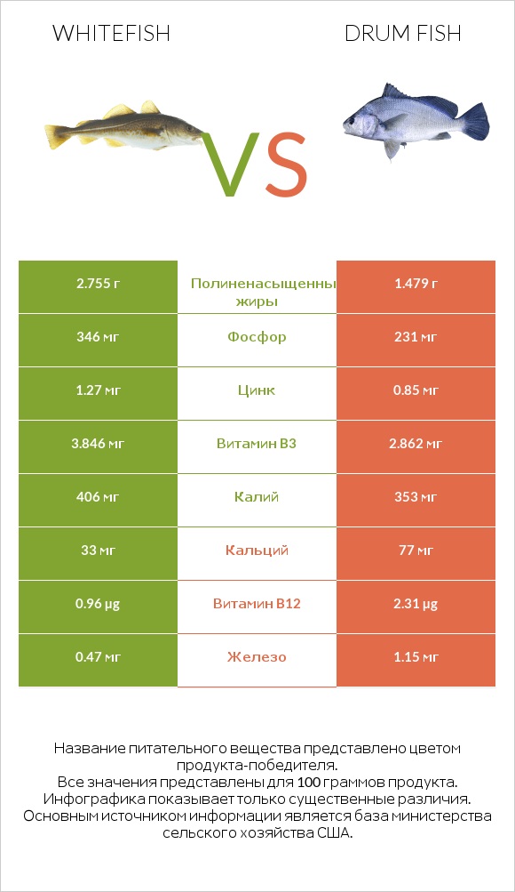 Whitefish vs Drum fish infographic